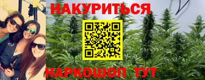гашик Заводоуковск