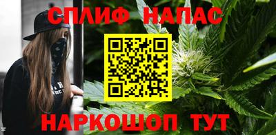 гашик Заводоуковск