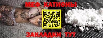 трава Бийск