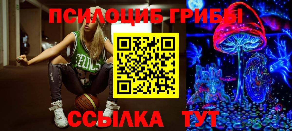 Псилоцибиновые грибы Psilocybine cubensis Сафоново