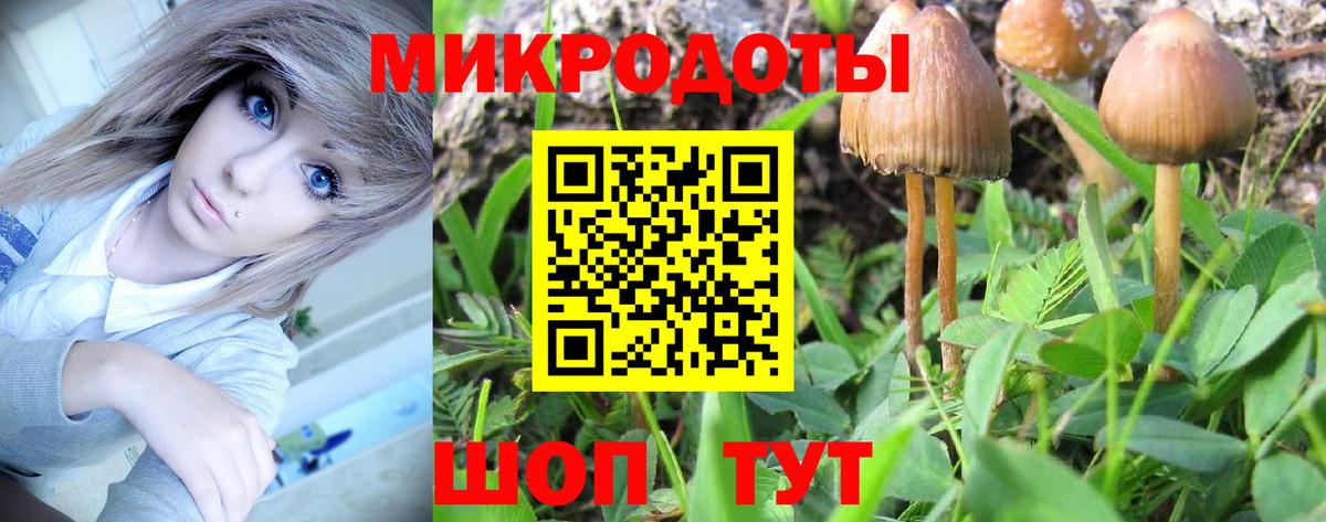 Галлюциногенные грибы GOLDEN TEACHER  Вход с VPN  Сафоново 